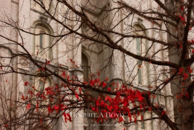 Picture of Salt Lake Temple Amaranthine