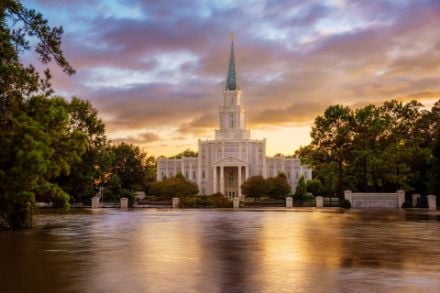 Houston Hope (A Reflection of Hope)