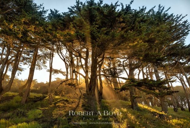 Picture of Rising Sun at Land's End