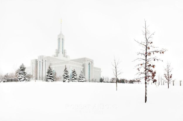 Picture of Mt Timpanogos Temple Snow Red Leaves