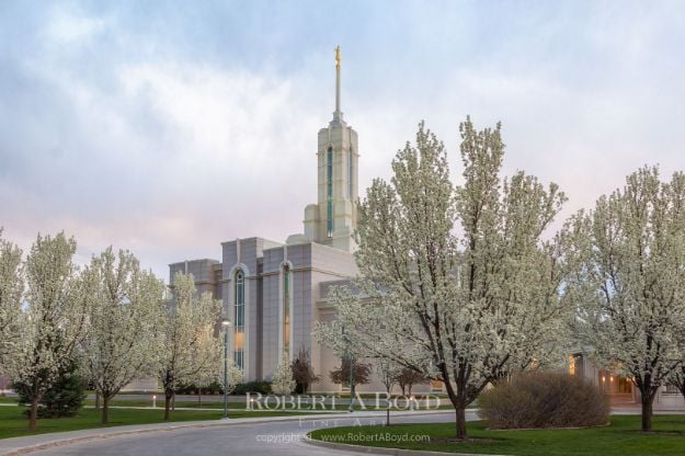 Picture of Mt Timpanogos Temple Spring Blossoms