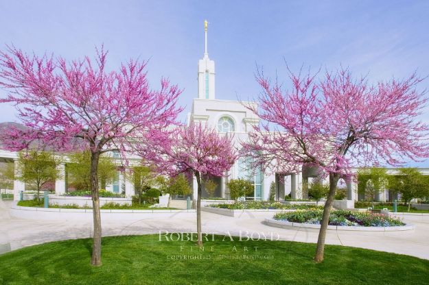 Picture of Mt Timpanogos Temple Pink Trees