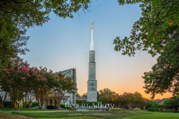 Picture of Dallas Temple Sunrise