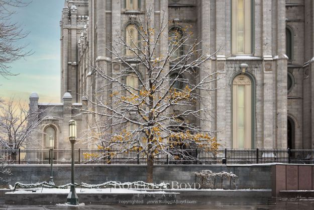 Picture of Salt Lake Temple Day Dawn