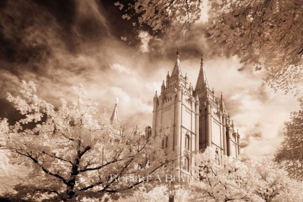 Picture of Salt Lake Temple Glorioso