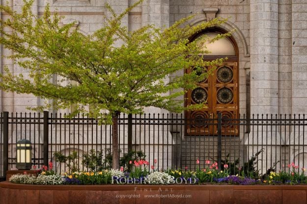 Picture of Salt Lake Temple Sacred Doors