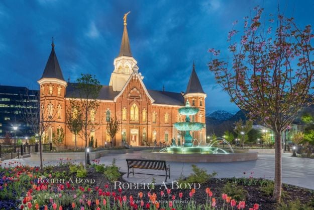 Picture of Provo City Center Temple Spring Showers