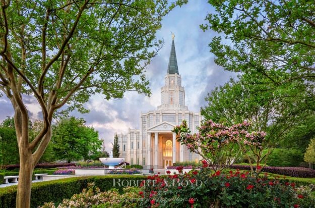 Picture of Houston Temple Blossoms