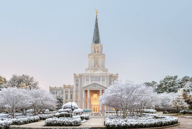 Picture of Houston Temple Faith