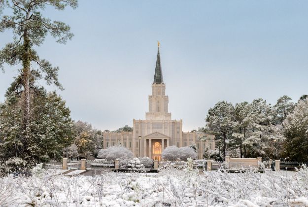 Picture of Houston Temple Snow field