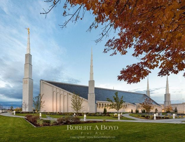 Picture of Boise Temple Red Tree