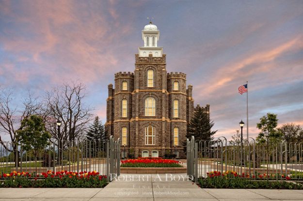 Picture of Logan Temple Gates Tulips