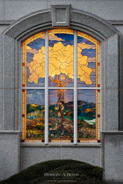 Picture of San Antonio Temple Tree