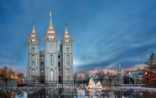 Picture of Salt Lake Christmas Reflection