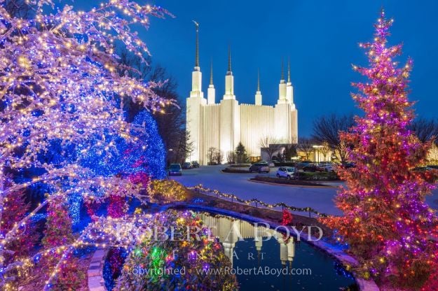 Picture of Washington DC Temple Christmas 01