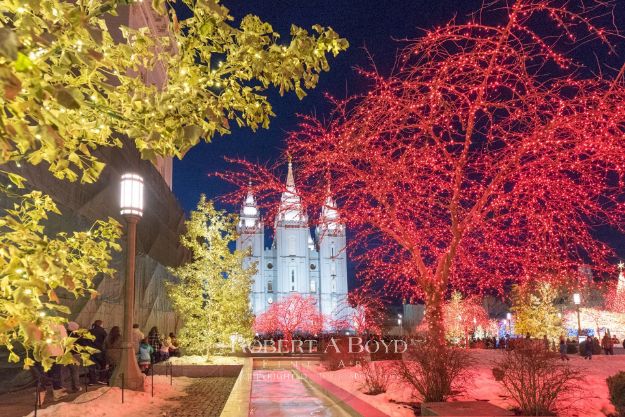 Picture of Salt Lake Christmas Lights