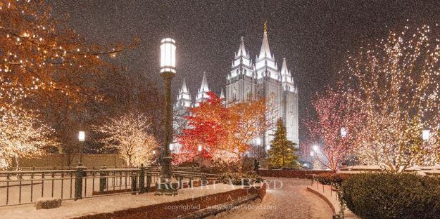Picture of Salt Lake Christmas Snow Panoramic
