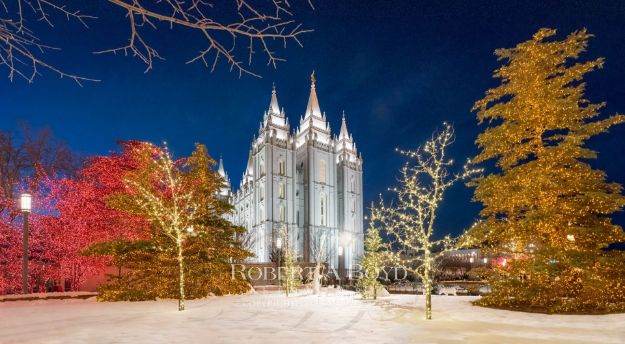 Picture of Salt Lake Christmas Lights (Panoramic)