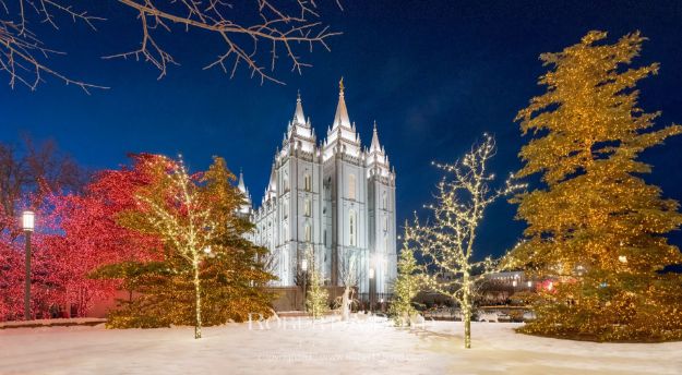 Picture of Salt Lake Christmas Lights (Panoramic)