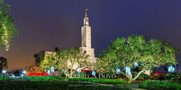 Picture of Los Angeles Christmas (Panoramic)