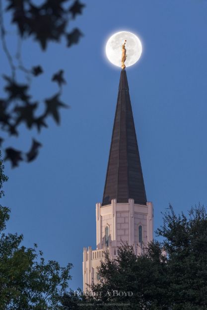 Picture of Houston Temple Super Moon