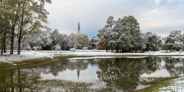 Picture of Houston Winter Reflection