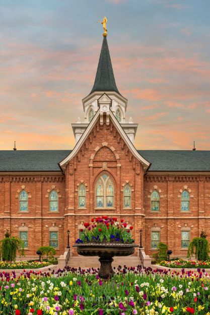 Picture of Provo City Center Tulips