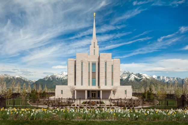 Picture of Oquirrh Mountain Spring Blossoms