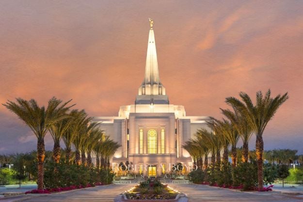 Picture of Gilbert Temple Palms