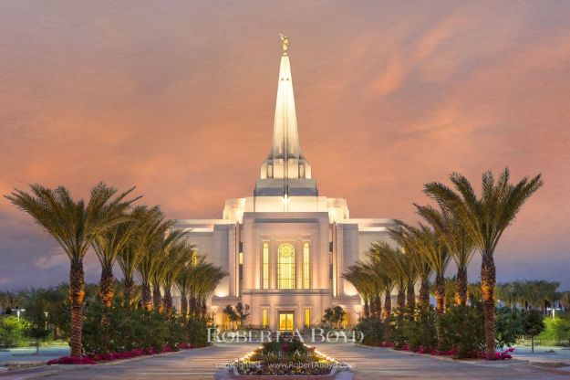 Picture of Gilbert Temple Palms