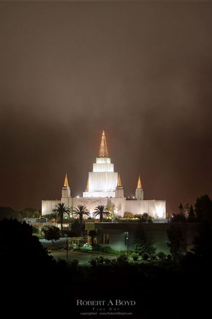 Picture of Oakland Night Fog