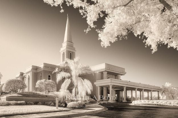 Picture of Orlando Temple New Light IR
