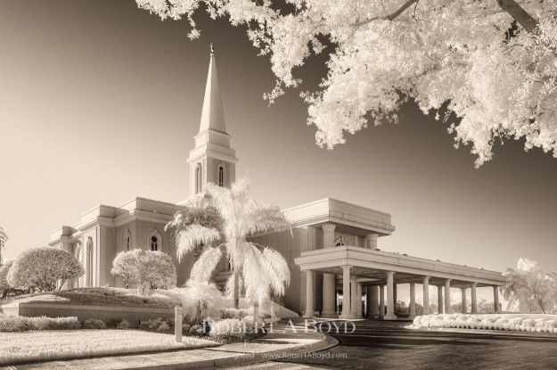 Picture of Orlando Temple New Light IR