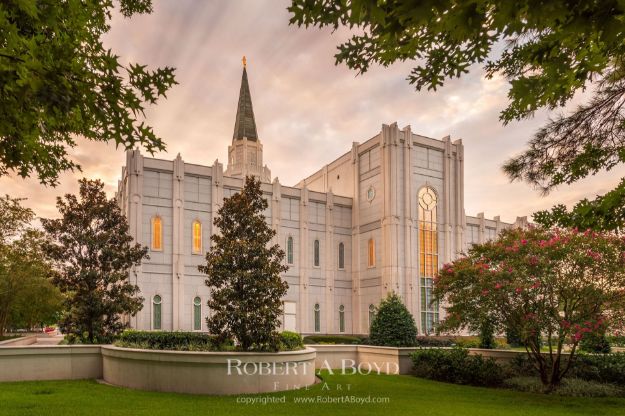 Picture of Houston Temple Sunrise