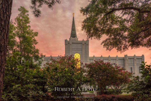 Picture of Houston Temple Celestial