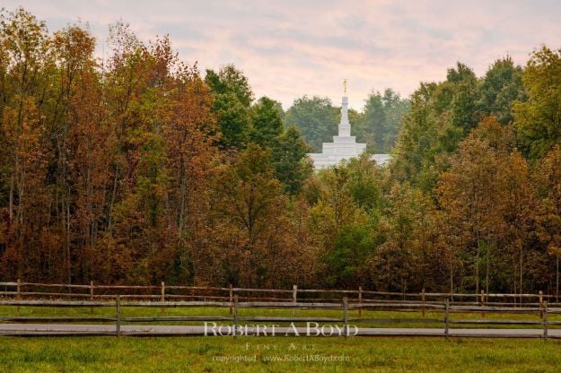 Picture of Palmyra Temple From Sacred Grove