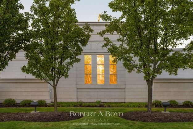 Picture of Palmyra Temple Tree of Life