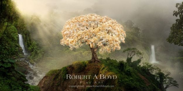 Picture of Tree of Life - The Journey (panoramic)