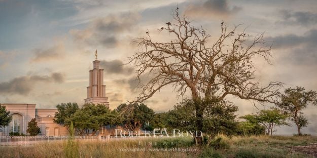 Picture of San Antonio Temple Resolute