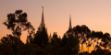 Picture of San Diego Temple Sunset Silhouette