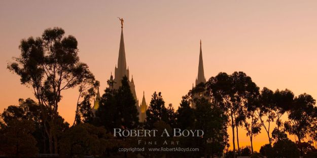 Picture of San Diego Temple Sunset Silhouette