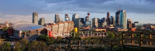 Picture of Calgary Cityscape