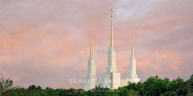 Picture of Washington DC Spires Panoramic