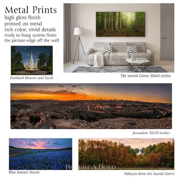 Picture of Media Choices: Paper - Metal - Canvas