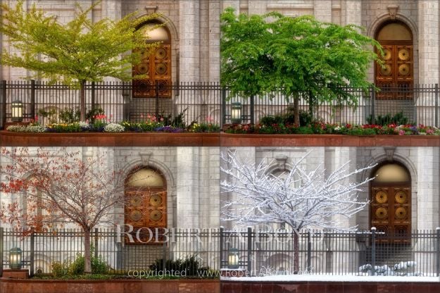 Picture of Salt Lake Temple -  Four Seasons
