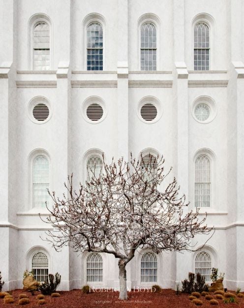 Picture of St George Temple - Arbor Alma