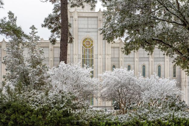 Picture of Houston Temple Celestial Winter