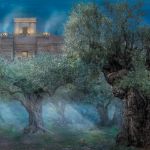 Picture of The Garden of Gethsemane