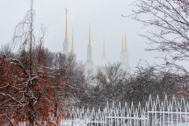 Picture of Washington DC Temple - Winter Red Leaves