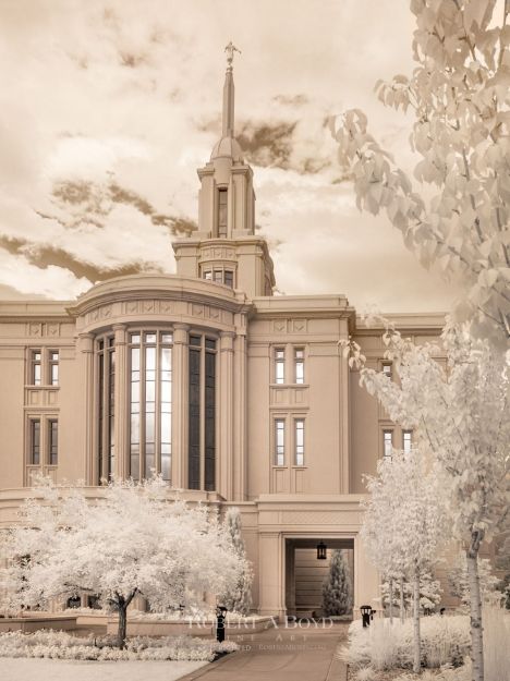 Picture of Payson Temple Celestial